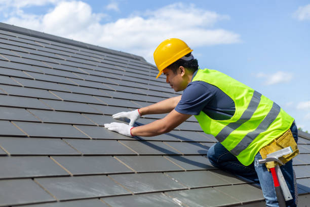 Best Roofing Contractor Near Me  in De Soto, KS