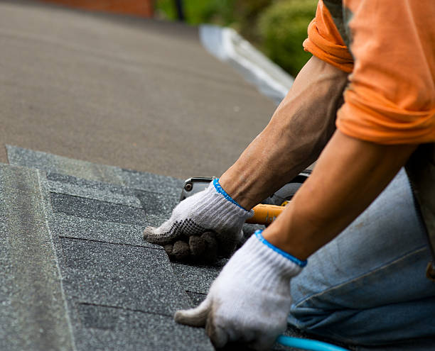 Best Roof Gutter Cleaning  in De Soto, KS